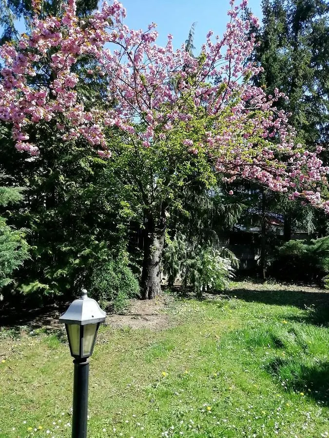 Villa Andy Prag Lejlighed